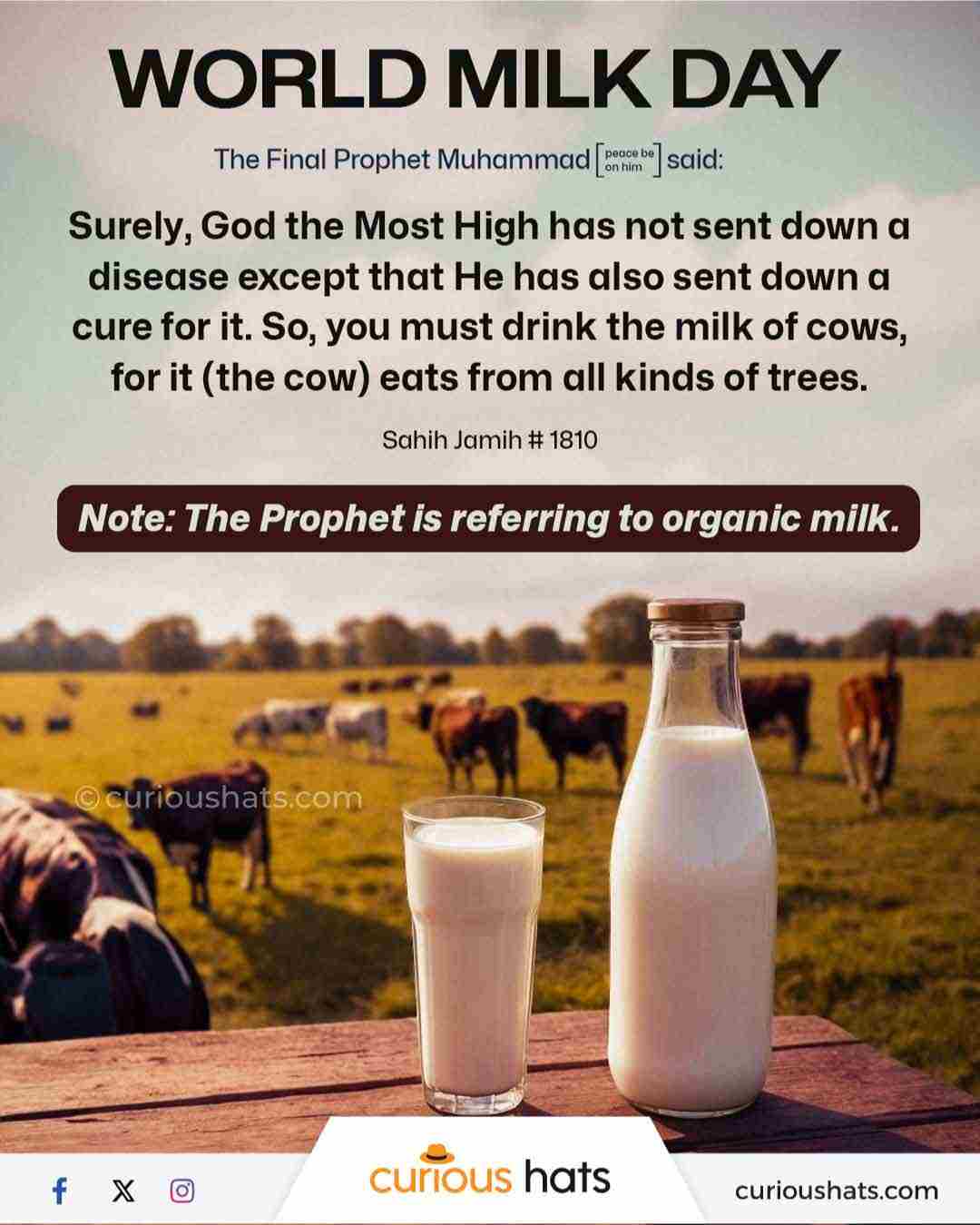 Edit 33: Cadbury did what? - by Lauren English, image size:1080x1350